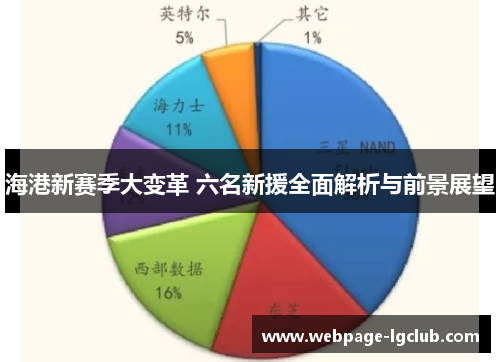 海港新赛季大变革 六名新援全面解析与前景展望