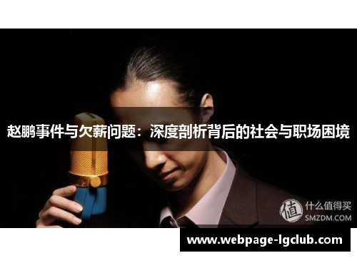 赵鹏事件与欠薪问题：深度剖析背后的社会与职场困境