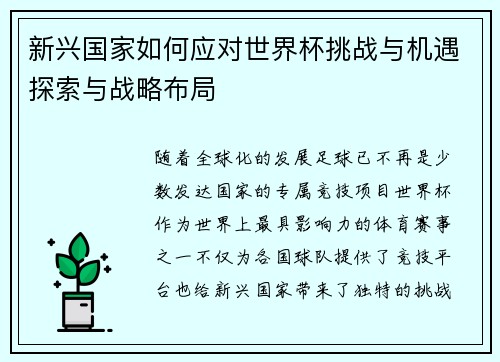 新兴国家如何应对世界杯挑战与机遇探索与战略布局